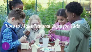 How To Make Natural Dyes?