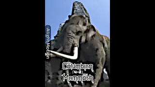 American Mastodon vs Columbian Mammoth (UAHMP-331 vs DMNH 1359) #edit #paleontology #shorts