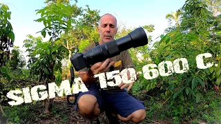 SIGMA 150-600 Contemporary, my little review with many photos and videos