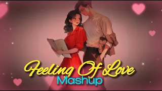 Feelings Of Love Mashup 2024 | Arijit Singh Mashup 2024 | Visual Galaxy |  | Love Songs 2024 #mashup