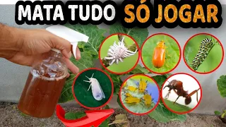 MATA TUDO! Pulgão, Cochonilha, Lagarta, Ácaro, Formiga, Trips - Inseticida Caseiro para Plantas