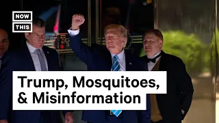 Donald Trump, Mosquitoes, & Misinformation