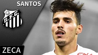 Zeca • 2017 • Santos • Best Defensive Skills & Goals • HD 720p