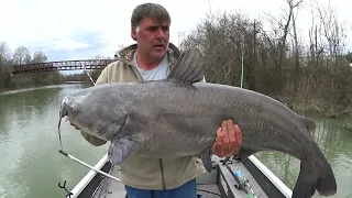 When To Target Big Catfish In Small Creeks