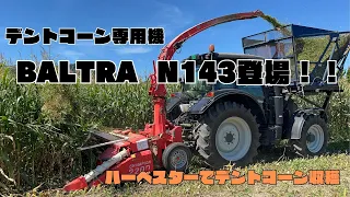 デントコーン専用機のバルトラN143登場！！収穫していきます！