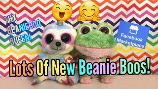 Beanie Boo Package Opening | I Got Kiwi?!