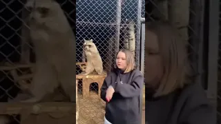 Raccoon dancing with a lady•this is hilarious