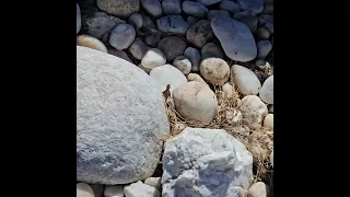 Beautiful beach boulder and more white rocks.