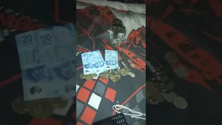 El gato que cuenta dinero