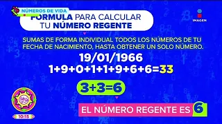 Cálcula tu número regente con el numerólogo Alejandro Fernando | Numerología | Sale el Sol