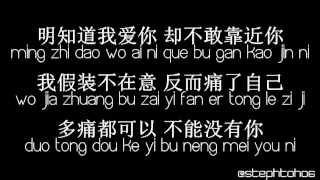 ★ PINYIN LYRICS | 龚芝怡  Gong Zhi Yi - 明知我爱你 Ming Zhi Wo Ai Ni ★