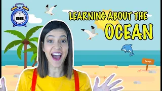 Toddler Learning At The OCEAN! Kids Songs + Nursery Rhymes | Cassie’s Corner