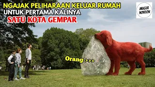 AWALNYA DIKUCILKAN, TAPI GAK ADA YANG SADAR ANJING INI SANGAT BERBEDA