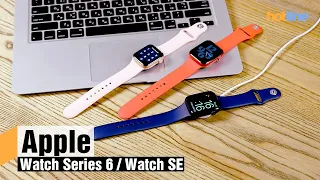 Apple Watch Series 6 и Apple Watch SE — обзор смарт-часов