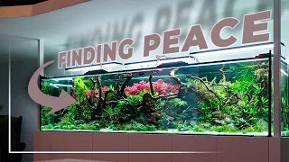 Finding PEACE Through AQUASCAPING | 1125 Liter Aquarium Maintenance