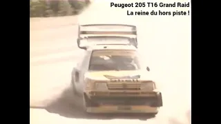 les 205 exclusives La Peugeot 205 Turbo 16 Grand Raid
