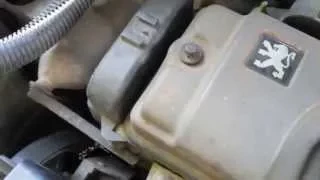 Peugeot 206 1,4 75 ks 2001 168000 engine sound