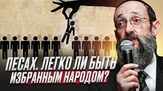 Песах. Легко ли быть избранным народом? Рав Ашер Кушнир