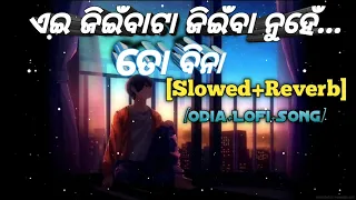 Eyi Jienbata Jienba Nuhe To Bina[Slowed+Reverb]-Lofi||Odia Album Song||Human Sagar||Odia Lofi Song