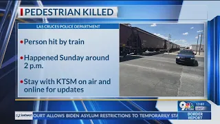 1 person dead in crash involving train, pedestrian