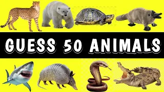 Guess 50 Animals in 5 Seconds // Easy , Hard , Impossible // Animals Quiz // BrainTester