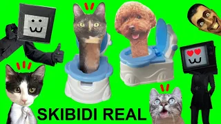 Abro la caja misteriosa de Skibidi Toilet 1-53 y construyo mi skibidi dop de gatos Luna y Estrella