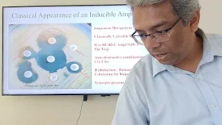 AmpC Beta Lactamases & In Vivo Development of Resistance - Dr Sumit Rai