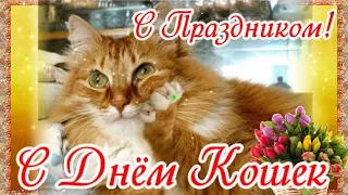 🐱С ДНЁМ КОШЕК 1 МАРТА! Классная Весёлая Песня! Шуточное Поздравление с Днем Кошек! С Весной Вас!