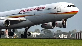 Surinam Airways A340 lands after a flock of birds pass the runway
