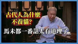 古代人為什麼不養貓？馬未都一番話太有道理了，聽完讓人醍醐灌頂#观复嘟嘟#马未都#圆桌派#窦文涛#脱口秀#真人秀#锵锵行天下#锵锵三人行