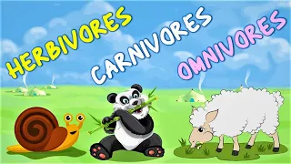 Herbivores Carnivores and Omnivores for kids | Animals Eating Habits with example