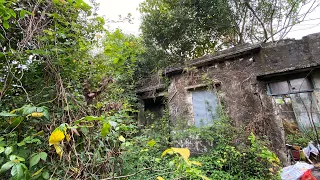 Clean up the Abandoned House covered with Weeds | Clean the old house, Overgrown Plants