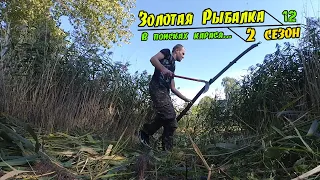 В поисках карася на заброшенном пруду. Золотая Рыбалка. Второй сезон. Серия 12