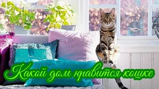 Какой дом нравится кошке  What kind of house does a cat like