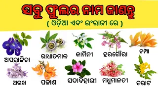Flowers name in Odia & English with picture / daily use English words / @pruthirajvreativity7456