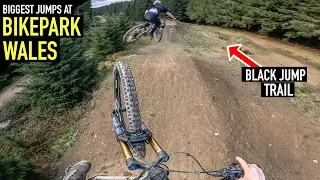 ENTER THE DRAGON AT BIKE PARK WALES IS THE BEST!!