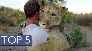 Top 5 Unlikely Animal Friendships