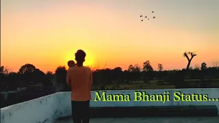 Mama bhanji love 💕💕 status | Smily