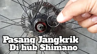 Bikin jangkrik di hub shimano!!! Bawaan pabrikan ternyata ...