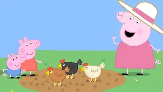 Gurli Gris | Bedstemors høns | Tegnefilm for børn