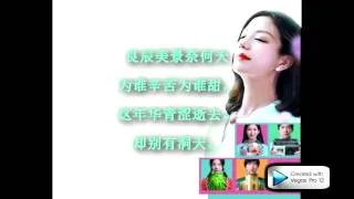 致青春-伴奏-歌词-王菲-karaoke