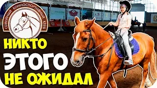 🌺 ВЗРОСЛЫЕ ЗАКРЫЛИ ГЛАЗА от страха, когда лошадь понесла МАЛЕНЬКОГО РЕБЕНКА 🌺 КОННАЯ ПРОГУЛКА 🌺