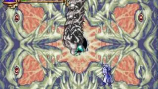 Castlevania Aria of Sorrow Final Boss Chaos - No Damage, No Subweapons (Souls)