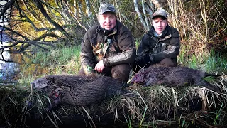 EXCITING BEAVER HUNT ADVENTURE - A Swedish Outdoor Experience