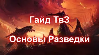 Гайд ТвЗ Основы разведки