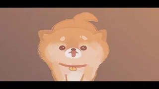 Dog heaven Animation : After dogs die where they go