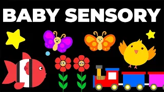 BABY SENSORY | High Contrast Baby Video & Music For Baby Brain Development