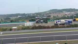 F1 2014: Daniel Ricciardo tries to overtake Lewis Hamilton at the Hungarian Grand Prix