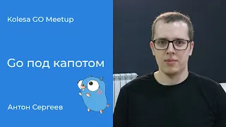 Антон Сергеев, «Go под капотом»