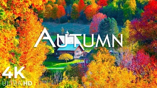Beautiful Relaxing Music, Peaceful Soothing Music, "Vermont Autumn Farm" by Melodies Heal